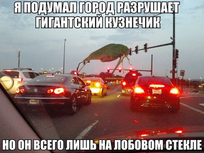 Сборник веcелых картинок и фотоприколов