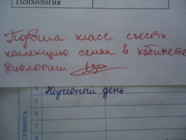 Перлы учителей из школьных дневников