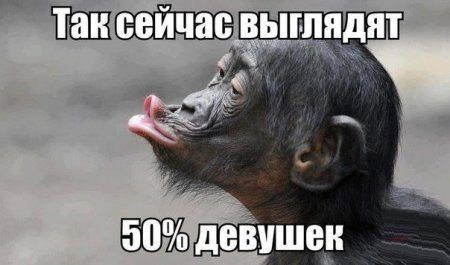 Прикольный юмор