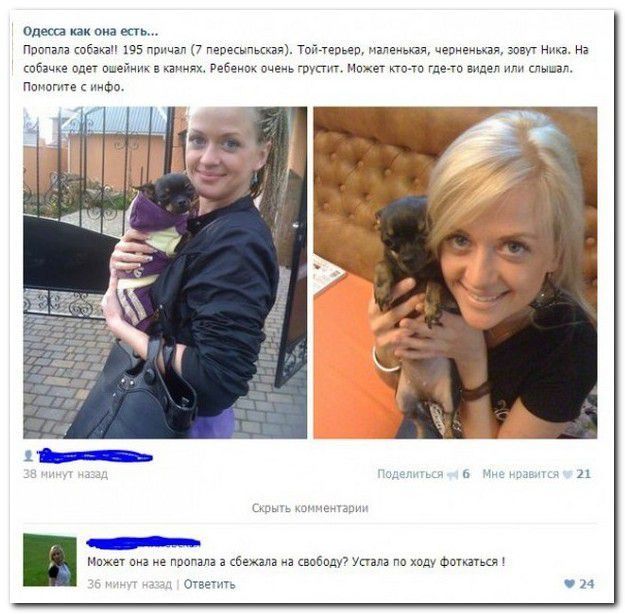 Юморные комментарии на актуальные темы