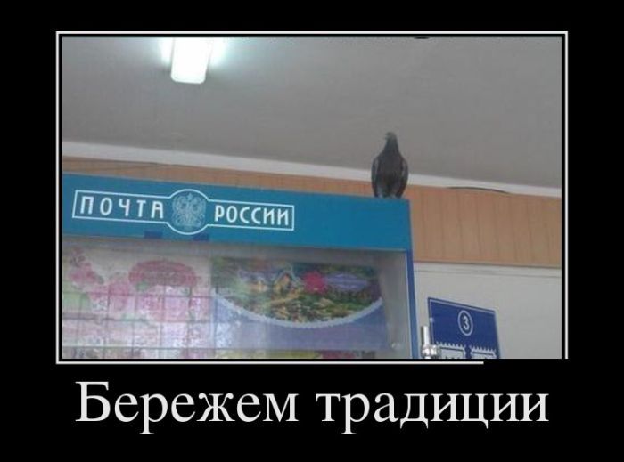 Сборник демотивационных приколов