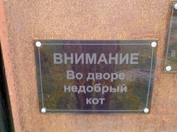 Подборка народного креатива