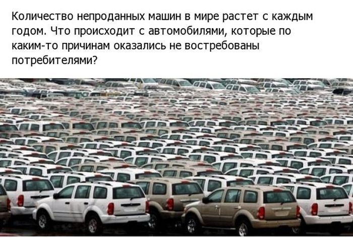 Куда исчезают непроданные автомобили