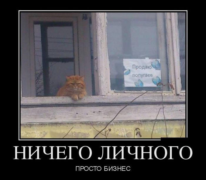 Сборник демотивационных приколов