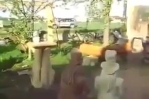 Песик сам себя развлекает