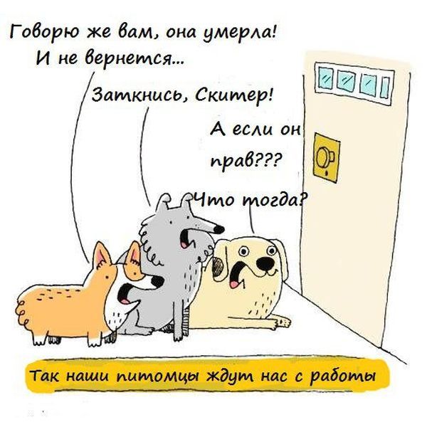 Смешные комиксы