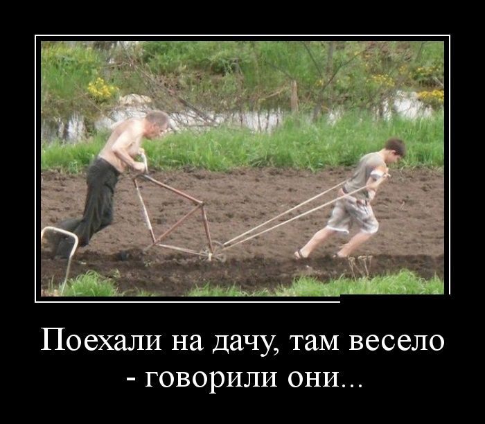 Сборник демотивационных приколов