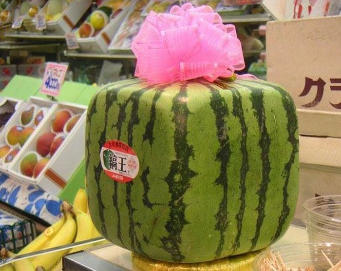 Самые необычные продукты в Японии