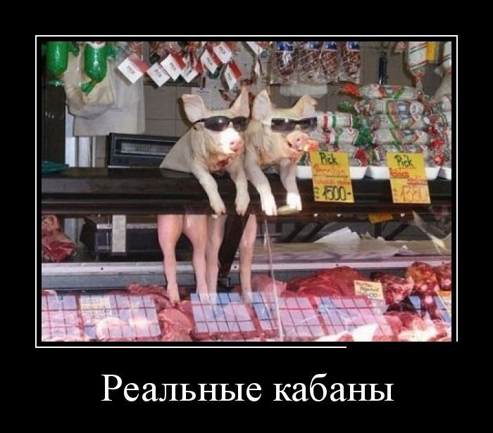 Сборник демотивационных приколов