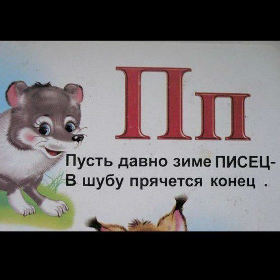 Подборка маразмов и приколов нашего образования