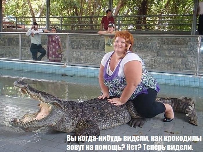Смешная подборка приколов и просто классных фото