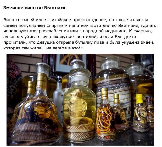 О самых странных и экзотических видах алкоголя