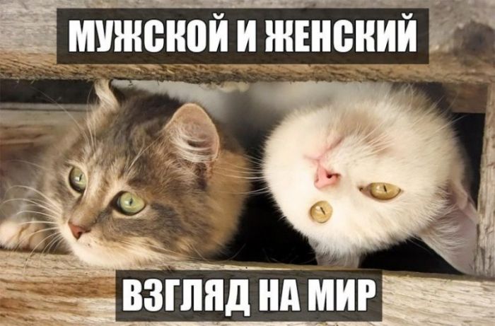 Уморительные приколы