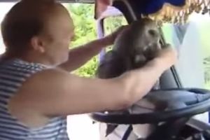 Невероятная дружба дальнобойщика и совы