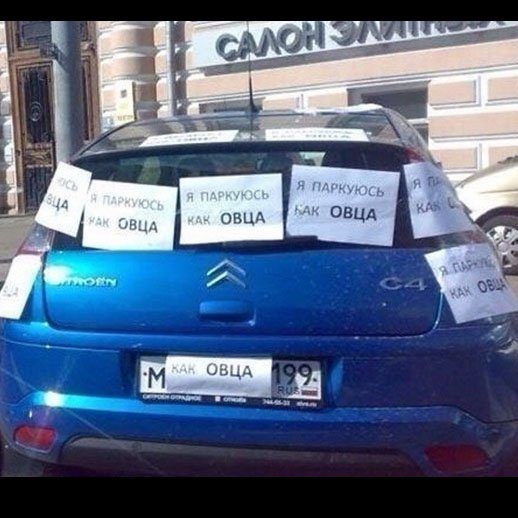 Я паркуюсь как...