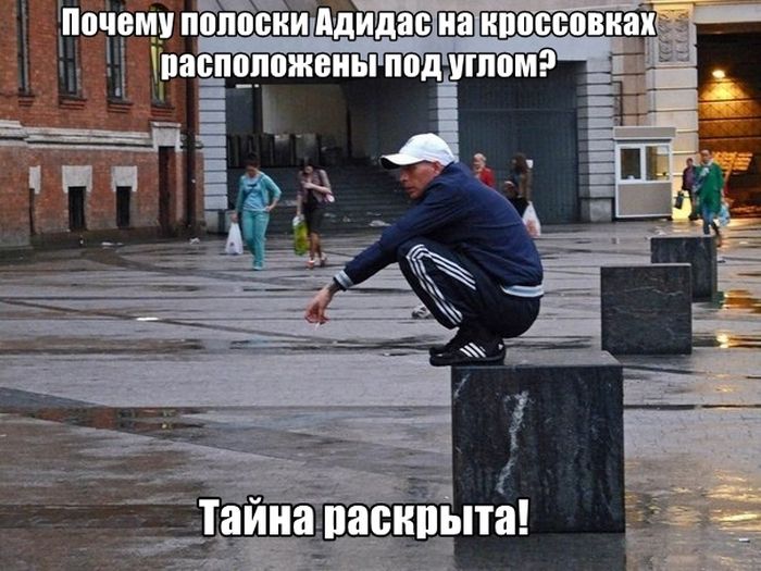 Уморительные фотоприколы