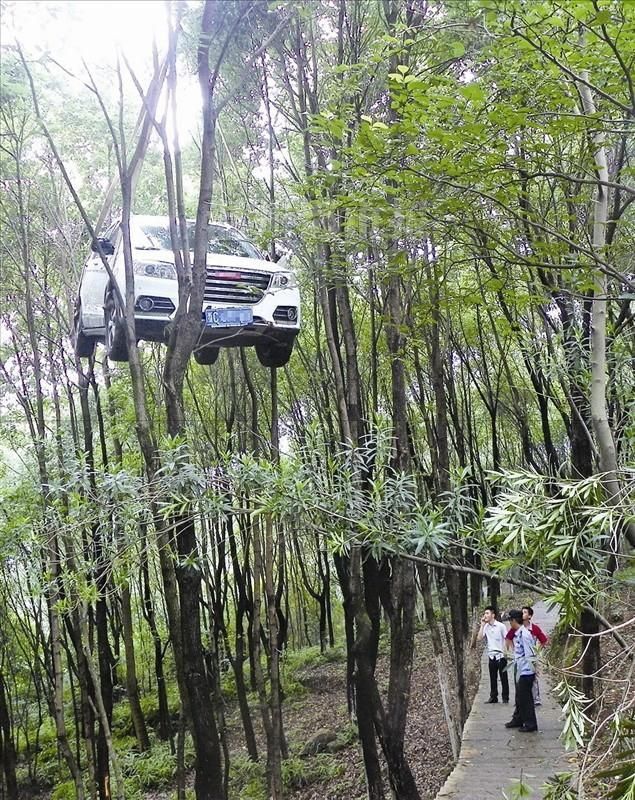 Курьезные аварии