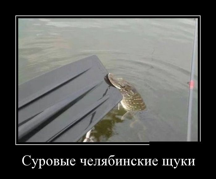 Сборник демотивационных приколов