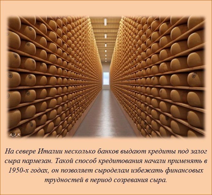 Интересные факты обо всем
