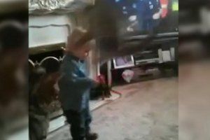 Атака домашнего кота