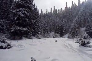 Подборка свежих приколов