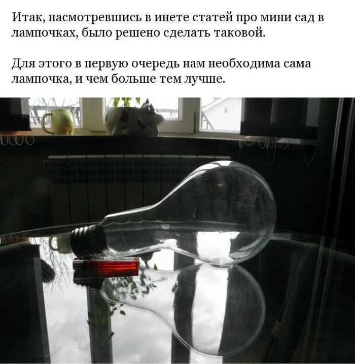 Минисад в лампочке