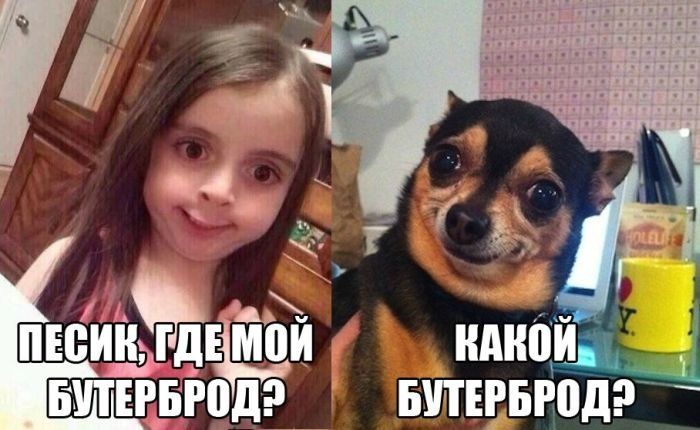 Смешные картинки с надписями