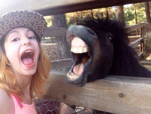 Забавные фотобомбы