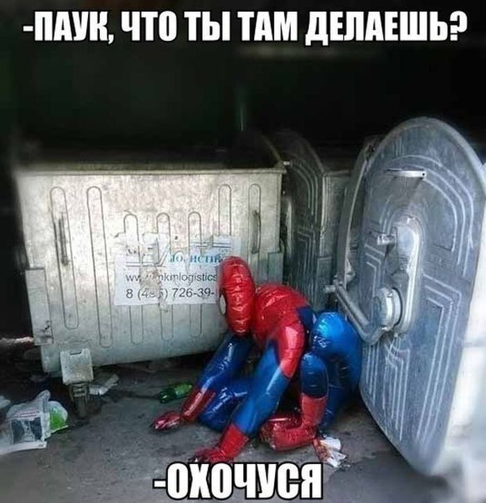 Уморительные фотоприколы