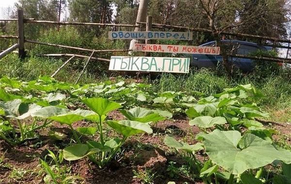 Безумный народный креатив