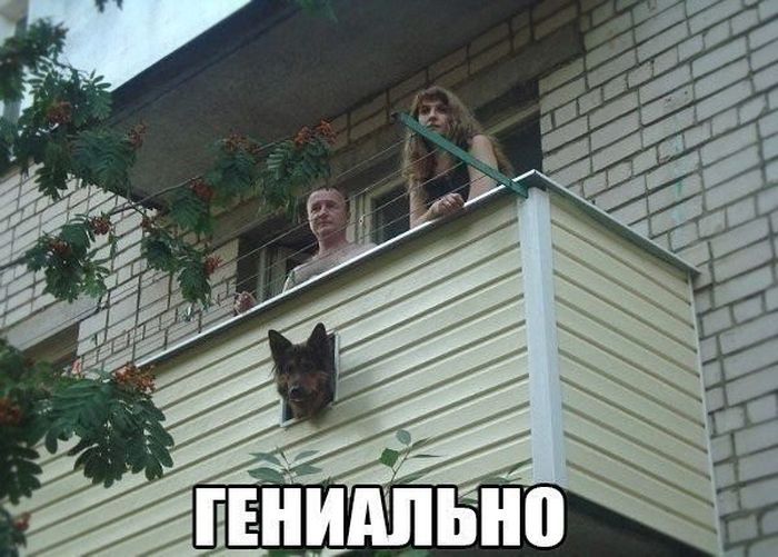 Отличный сборник юмора