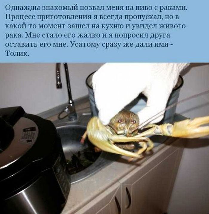 История рака по имени Толик