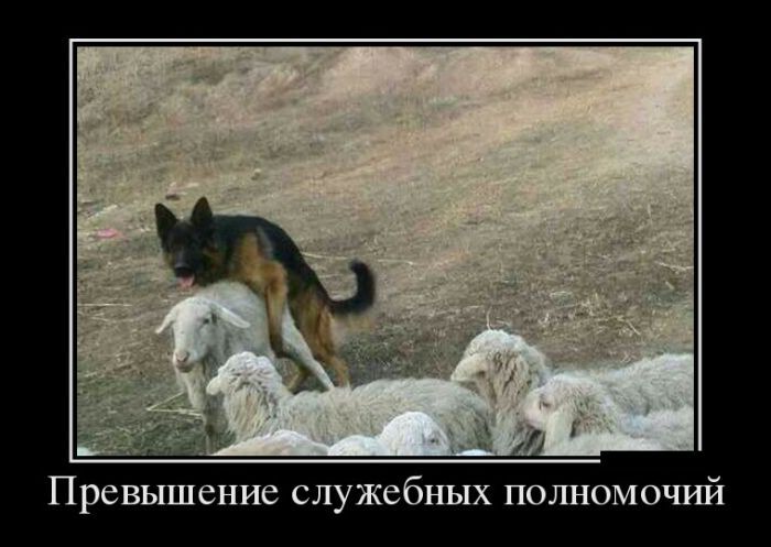 Сборник демотивационных приколов