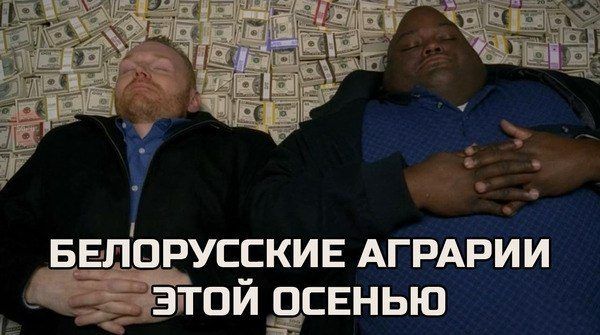 Шикарная коллекция уморительных фраз