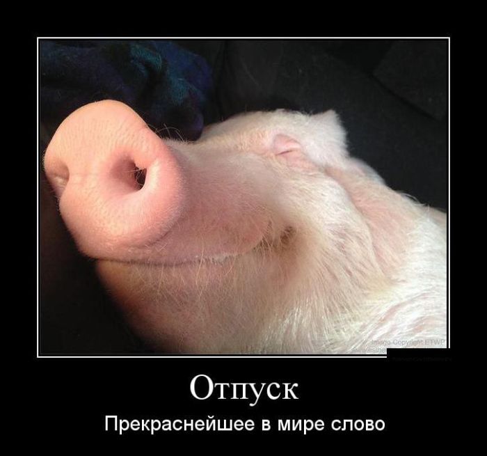 Сборник демотивационных приколов