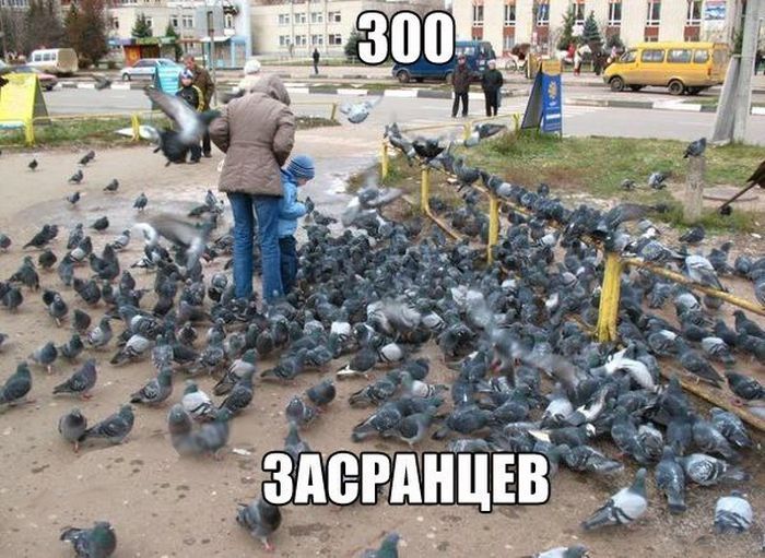 Уморительные фотоприколы