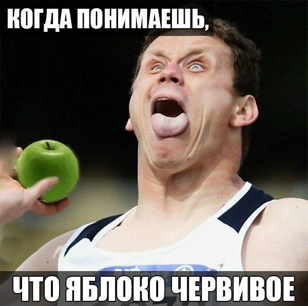 Прикольные фразы дня