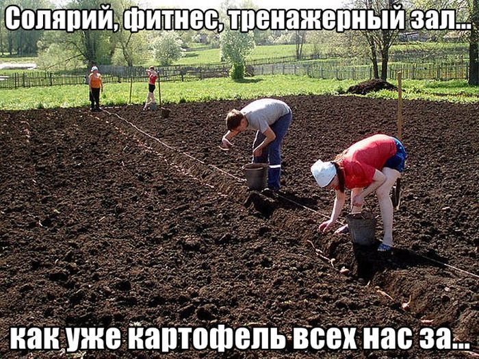 Уморительные фотоприколы