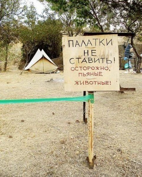 Смешные надписи
