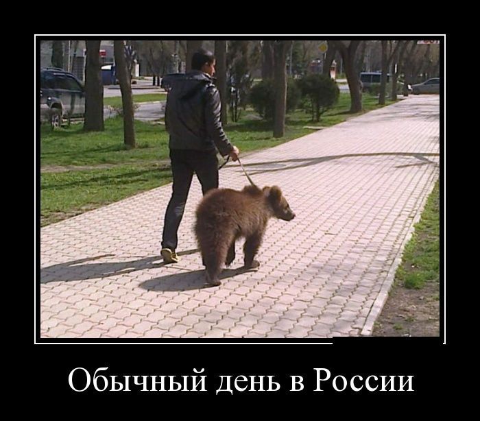 Сборник демотивационных приколов