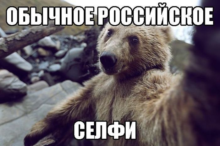 Отличнейший сборник прикольных фраз