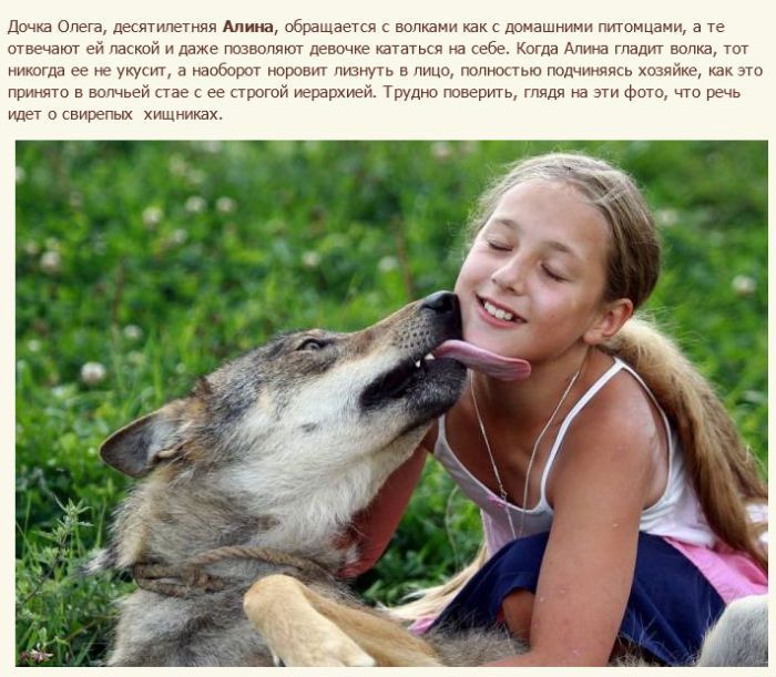 Стая волков живет в семье фермеров