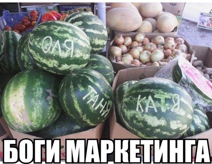 Веселая подборка фотоприколов и просто классных фото