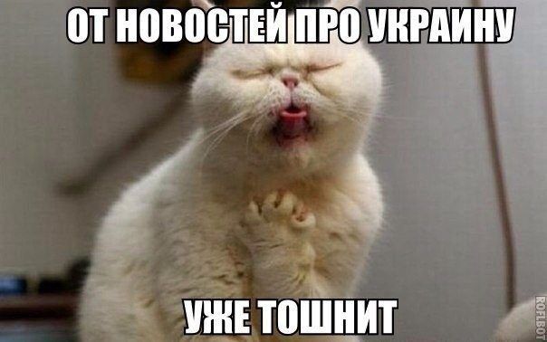 Прикольные фразы дня