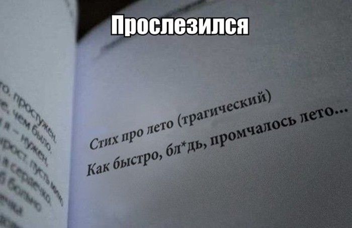Веселая подборка фотоприколов и просто классных фото