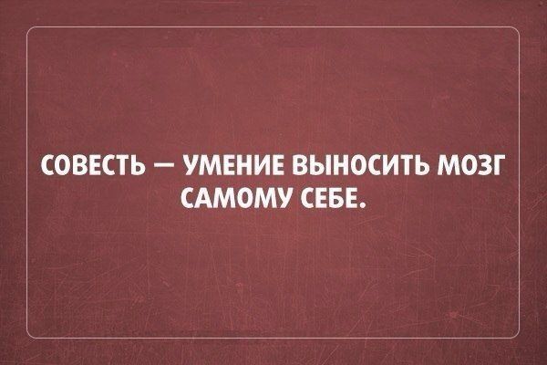 Прикольные цитаты