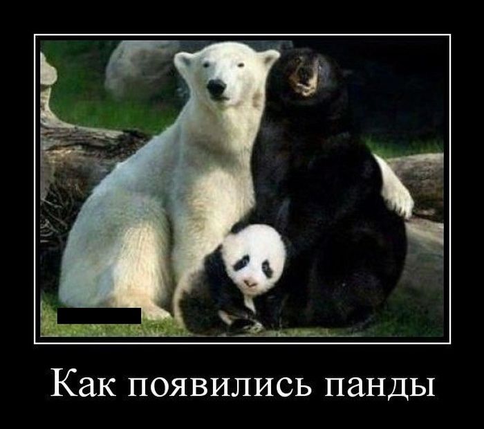 Сборник демотивационных приколов