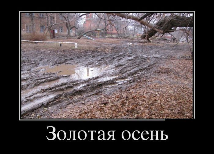 Сборник демотивационных приколов
