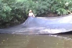 Рыба сама ловится