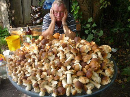 Коллекция эмоциональных снимков